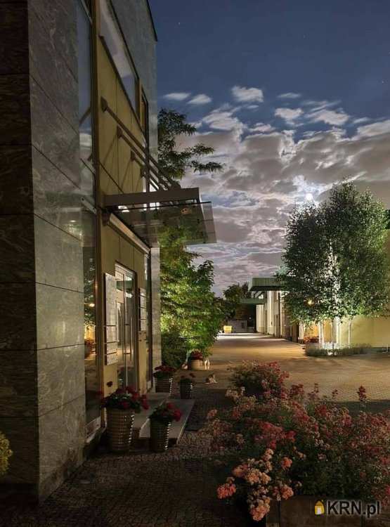 Lokal użytkowy  na sprzedaż, , Bogucin, ul. 