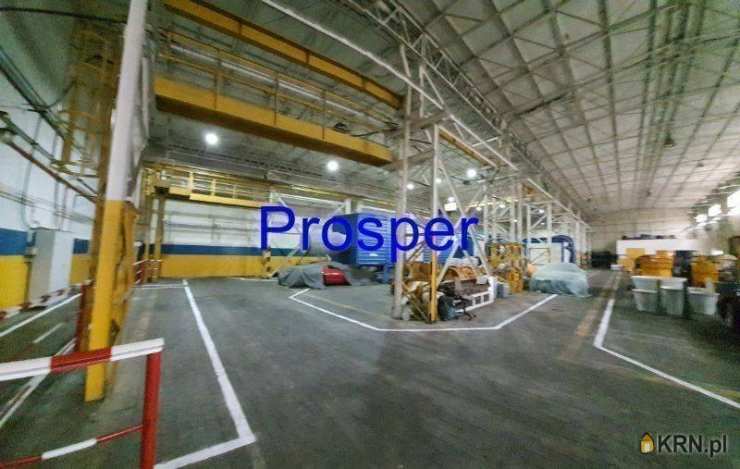 Lokal użytkowy  na sprzedaż, Czeladź, ul. , 