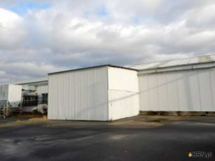 Maszewo, ul. , , Lokal użytkowy  na sprzedaż