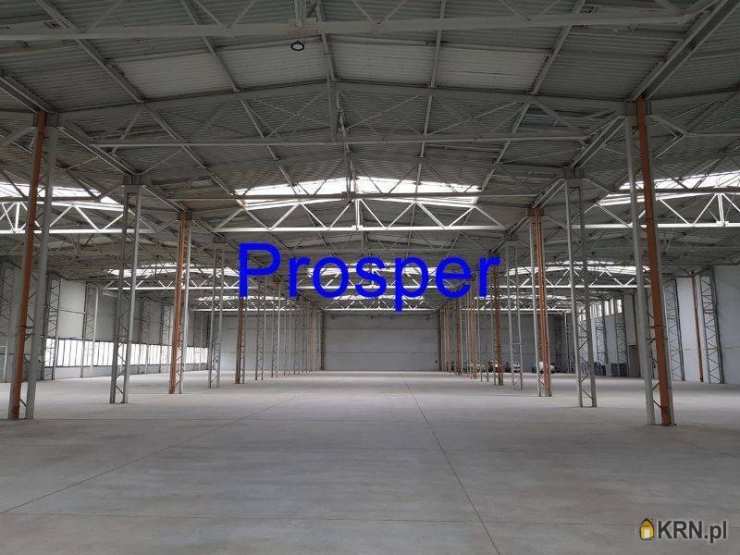 Lokal użytkowy  na sprzedaż, Olkusz, ul. , 