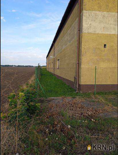 Lokal użytkowy  na sprzedaż, Marcinkowo, ul. , 
