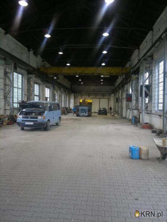 Lokal użytkowy  do wynajęcia, Zabrze, ul. , 