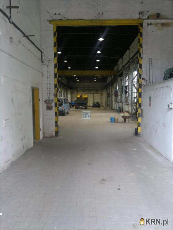 Lokal użytkowy  do wynajęcia, , Zabrze, ul. 