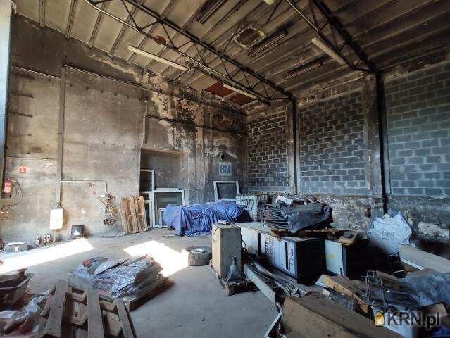 Lokal użytkowy  do wynajęcia, Gliwice, ul. , 1 pokojowe