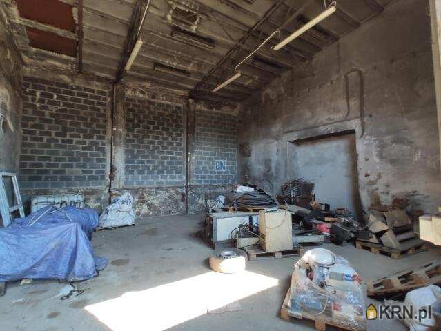 Lokal użytkowy  do wynajęcia, 1 pokojowe, Gliwice, ul. 