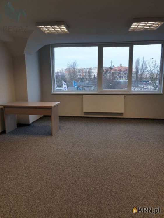 Poznań, Grunwald, ul. Kopanina, Lokal użytkowy  do wynajęcia, 