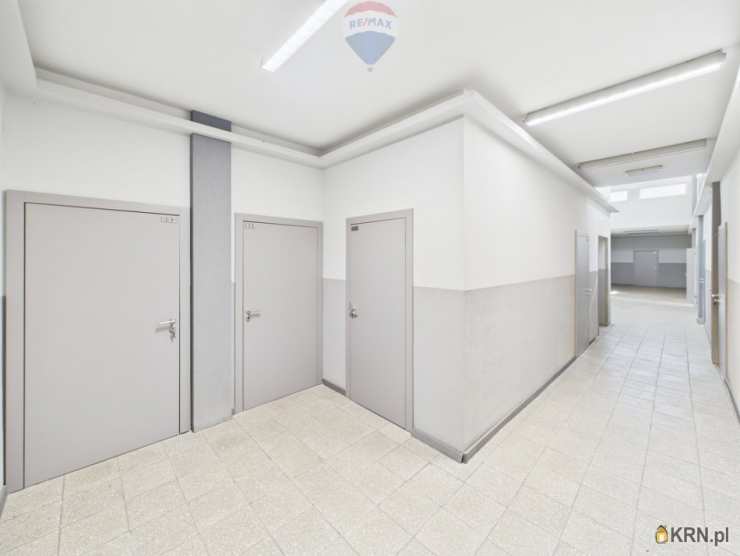 12 pokojowe, Rybnik, ul. , Lokal użytkowy  do wynajęcia