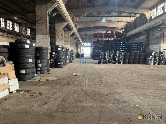 Gliwice, ul. , Lokal użytkowy  do wynajęcia, 