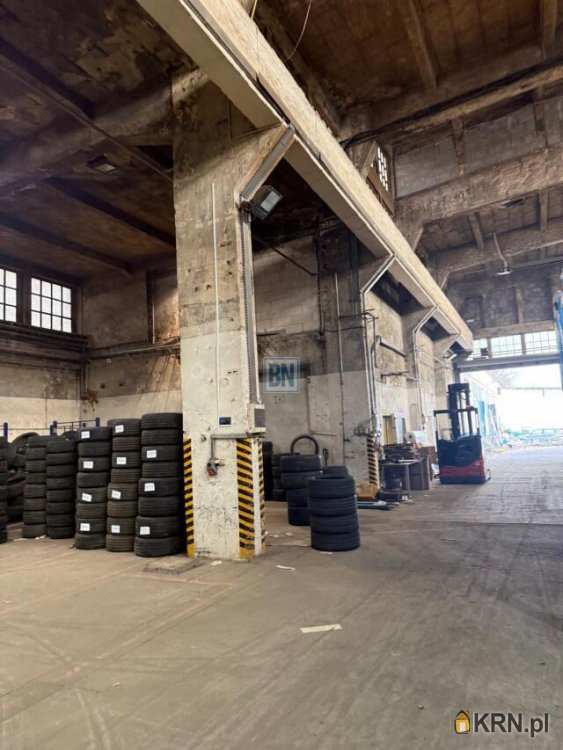 , Gliwice, ul. , Lokal użytkowy  do wynajęcia