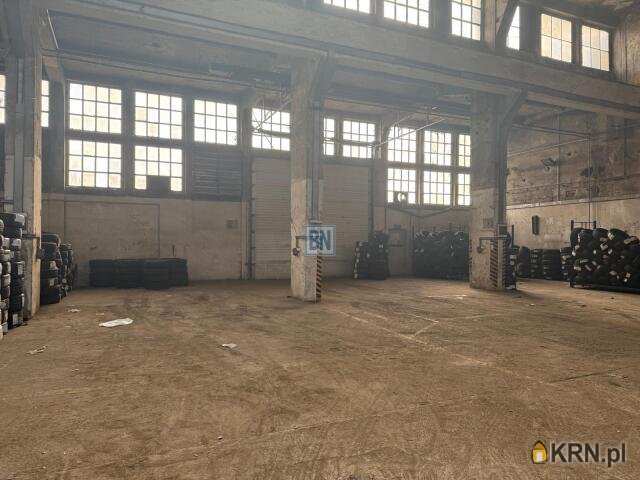 , Lokal użytkowy  do wynajęcia, Gliwice, ul. 