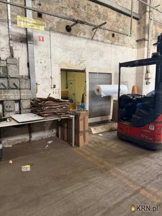 BN Nieruchomości, Lokal użytkowy  do wynajęcia, Gliwice, ul. 