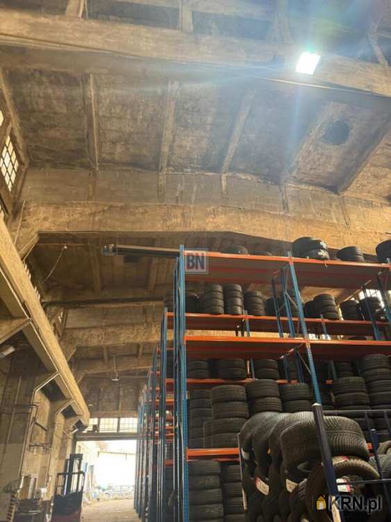 Lokal użytkowy  do wynajęcia, Gliwice, ul. , 