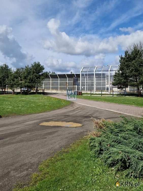 Orzesze, ul. , 1 pokojowe, Lokal użytkowy  na sprzedaż