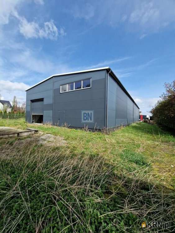 BN Nieruchomości, Lokal użytkowy  na sprzedaż, Orzesze, ul. 