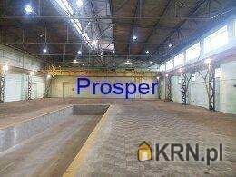 Lokal użytkowy  do wynajęcia, Będzin, ul. , 