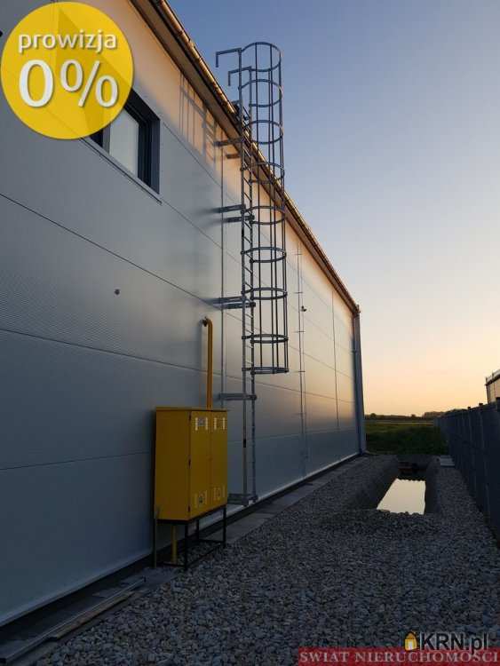 Suchy Dwór, ul. , , Lokal użytkowy  do wynajęcia