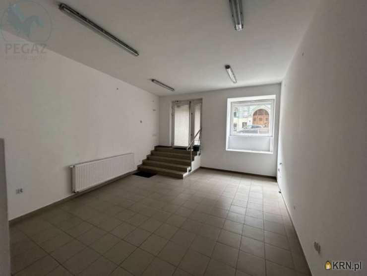 pow. Poznański, ul. , Lokal użytkowy  do wynajęcia, 