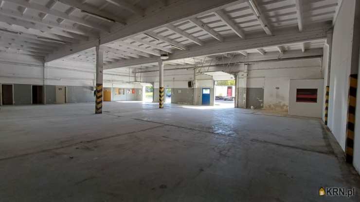 Radom, ul. Chorzowska, Lokal użytkowy  do wynajęcia, 