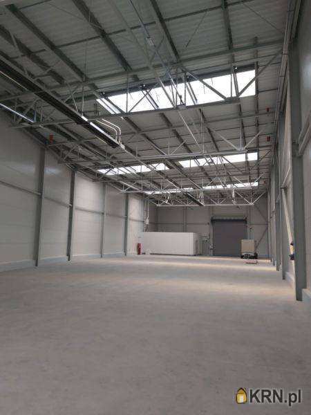 Katowice, ul. , Lokal użytkowy  do wynajęcia, 