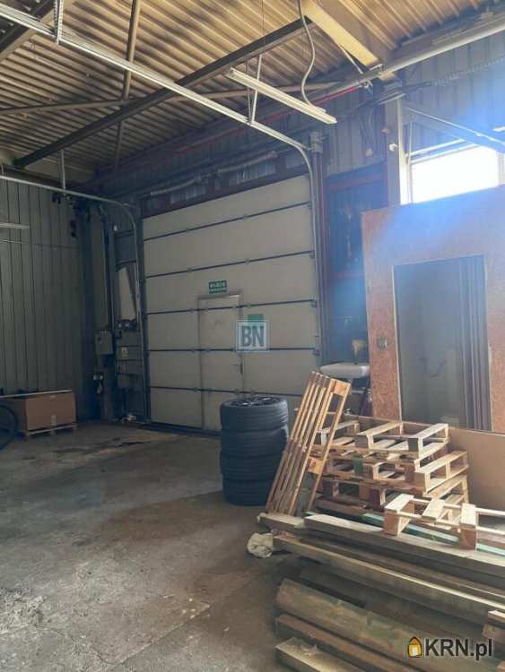 Lokal użytkowy  do wynajęcia, , Katowice, ul. 