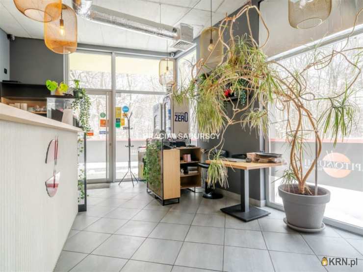 Kraków, Swoszowice/Kliny Borkowskie, ul. Borkowska, 3 pokojowe, Lokal użytkowy  do wynajęcia