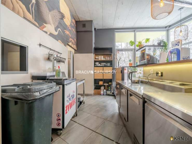 Kraków, Swoszowice/Kliny Borkowskie, ul. Borkowska, 3 pokojowe, Lokal użytkowy  do wynajęcia