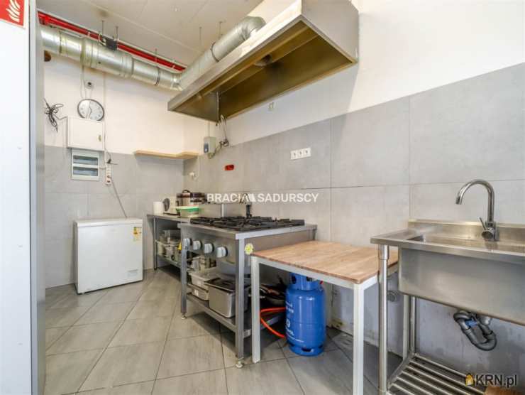 Kraków, Swoszowice/Kliny Borkowskie, ul. Borkowska, Lokal użytkowy  do wynajęcia, 3 pokojowe