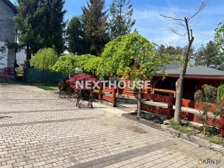 Rybnik, ul. , Lokal użytkowy  do wynajęcia, 