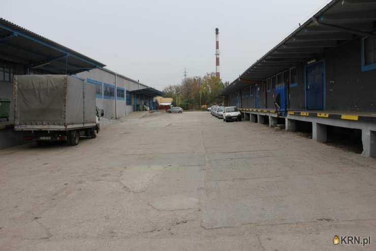 Lokal użytkowy  do wynajęcia, , Skierniewice, ul. Jana III Sobieskiego