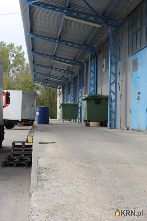 Skierniewice, ul. Jana III Sobieskiego, Lokal użytkowy  do wynajęcia, 