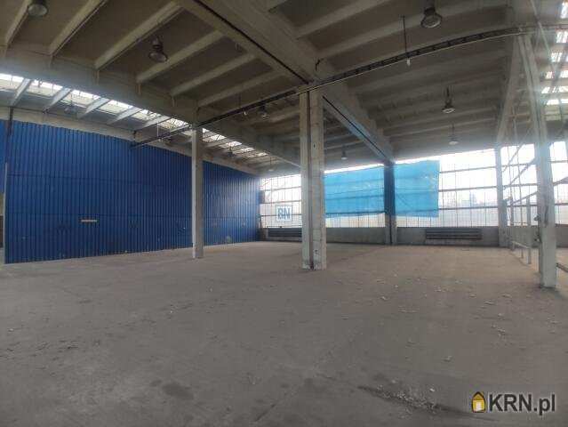 Lokal użytkowy  do wynajęcia, 2 pokojowe, Gliwice, ul. 