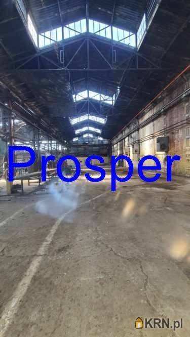 Lokal użytkowy  do wynajęcia, , Sosnowiec, ul. 