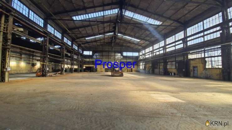 Sosnowiec, ul. , , Lokal użytkowy  do wynajęcia