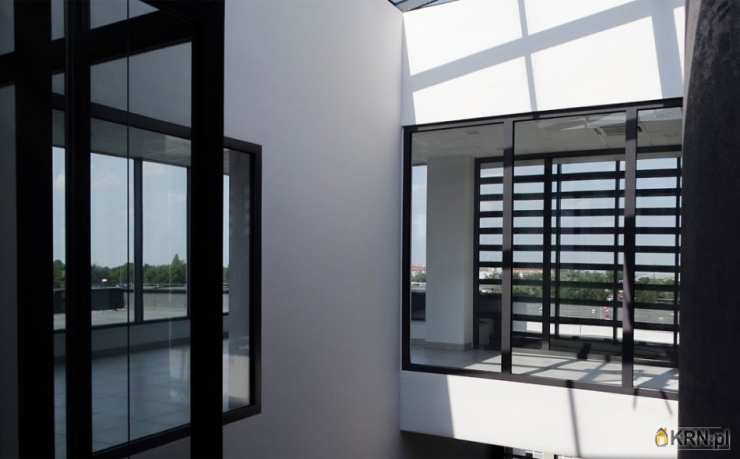 , Rzeszów, Staromieście, ul. , Lokal użytkowy  do wynajęcia