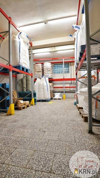 Lokal użytkowy  do wynajęcia, , Puszczykowo, ul. 