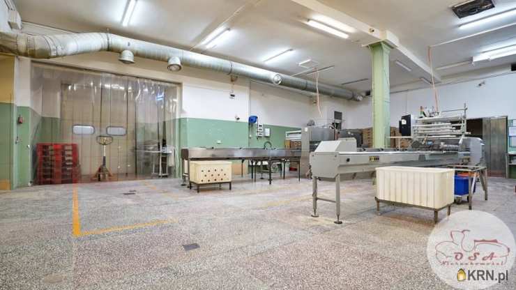 Puszczykowo, ul. , Lokal użytkowy  do wynajęcia, 