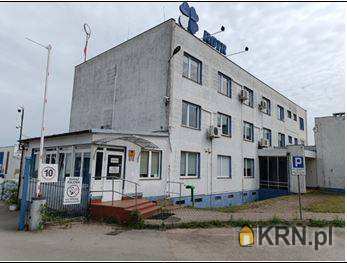 Lokal użytkowy  na sprzedaż, 1 pokojowe, Rypin, ul. 