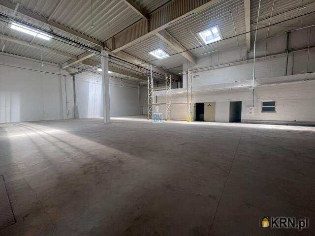 Lokal użytkowy  do wynajęcia, 5 pokojowe, Gliwice, ul. 