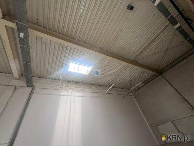 5 pokojowe, Lokal użytkowy  do wynajęcia, Gliwice, ul. 
