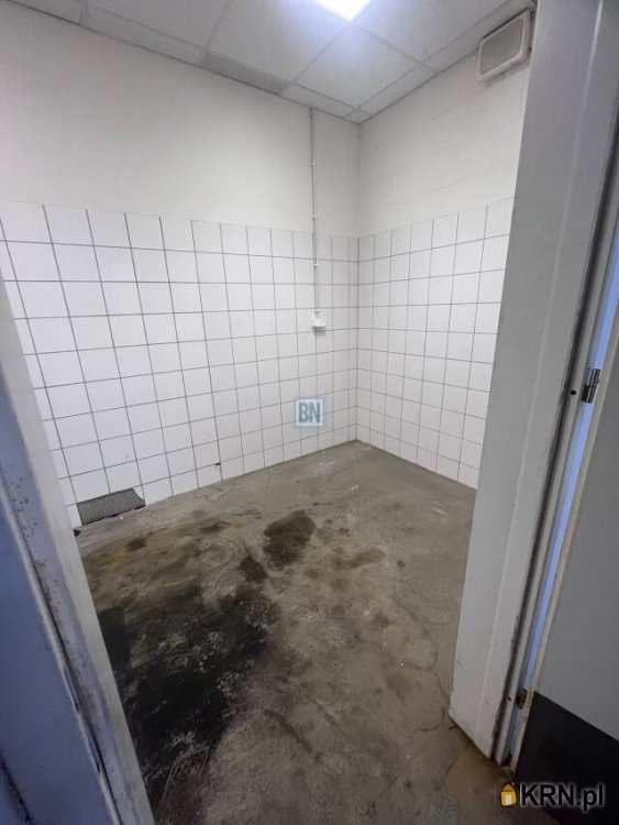 Lokal użytkowy  do wynajęcia, 5 pokojowe, Gliwice, ul. 
