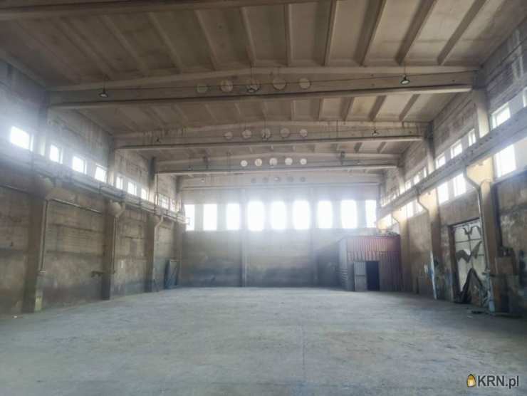 Lokal użytkowy  do wynajęcia, Zabrze, Grzybowice, ul. , 