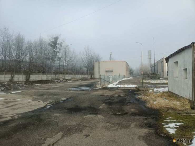 Lokal użytkowy  do wynajęcia, , Zabrze, Grzybowice, ul. 