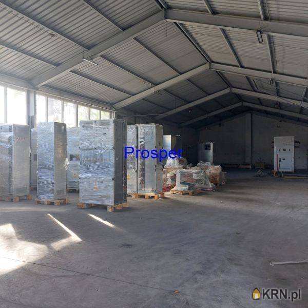 Lokal użytkowy  do wynajęcia, , Katowice, ul. 