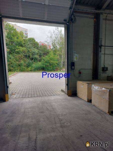 Katowice, ul. , Lokal użytkowy  do wynajęcia, 