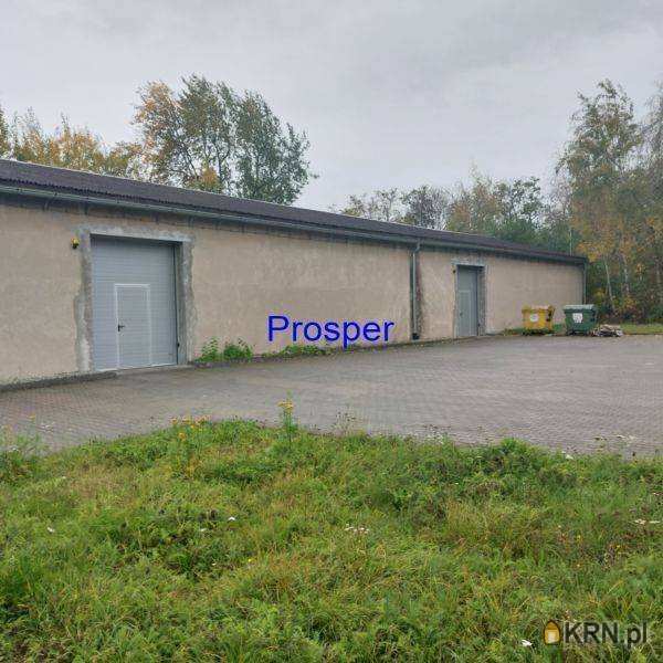 Katowice, ul. , , Lokal użytkowy  do wynajęcia