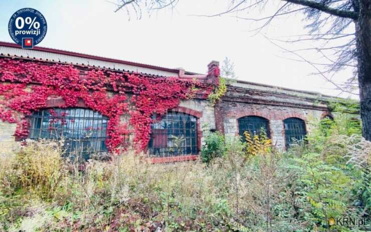 Lokal użytkowy  na sprzedaż, 10 pokojowe, Libiąż, ul. 