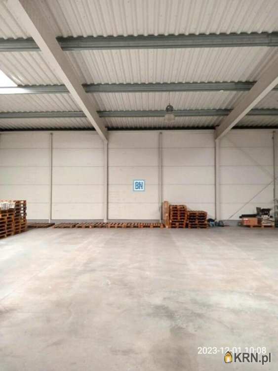 Lokal użytkowy  do wynajęcia, Rybnik, ul. , 7 pokojowe