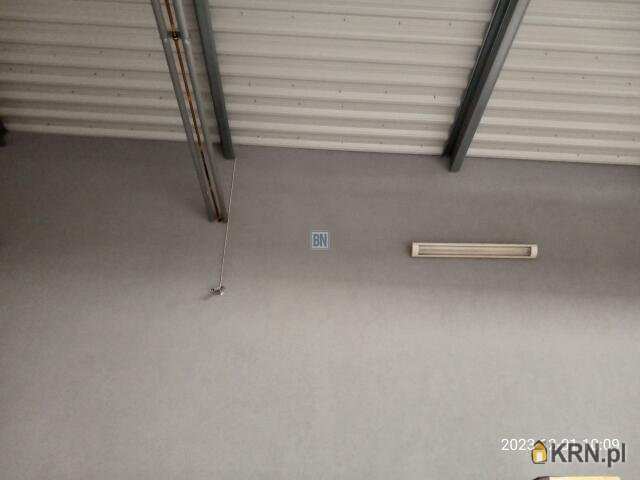 Rybnik, ul. , 7 pokojowe, Lokal użytkowy  do wynajęcia