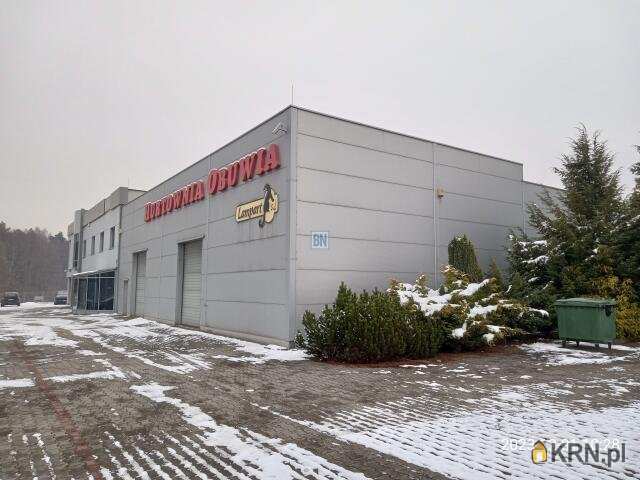 Lokal użytkowy  do wynajęcia, Rybnik, ul. , 7 pokojowe