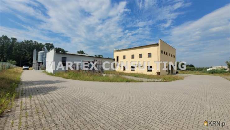 Rybnik, ul. , Lokal użytkowy  do wynajęcia, 